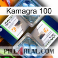 Kamagra 100 viagra5
